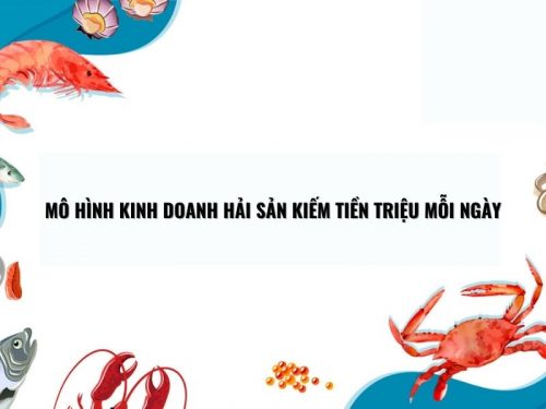 Mô Hình Kinh Doanh Hải Sản Kiếm Tiền Triệu Mỗi Ngày